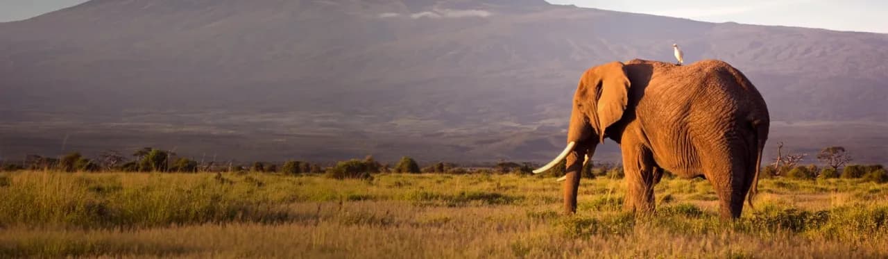 Ile trwa lot do Kenii? Sprawdź, co wpływa na czas podróży