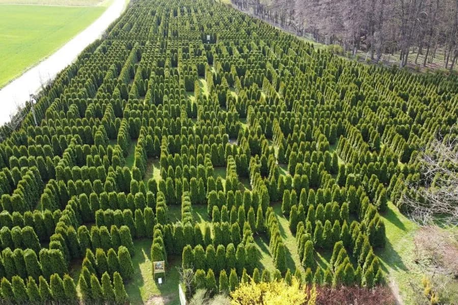 Najlepsze atrakcje w Rąblowie, które musisz zobaczyć i przeżyć
